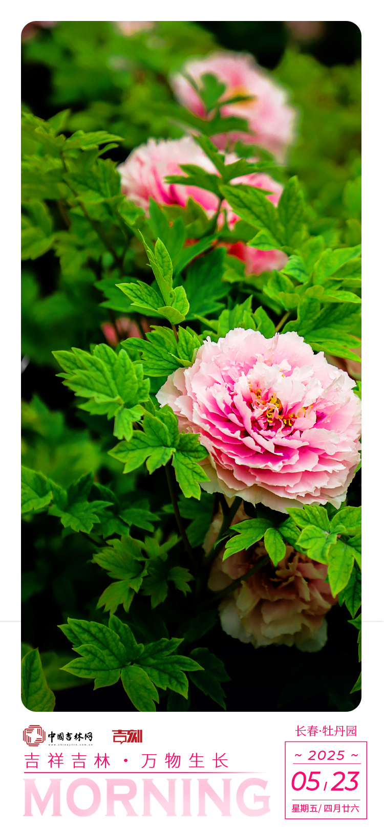 5d64644a7b5c8c7b8b325c76c6db507.jpg