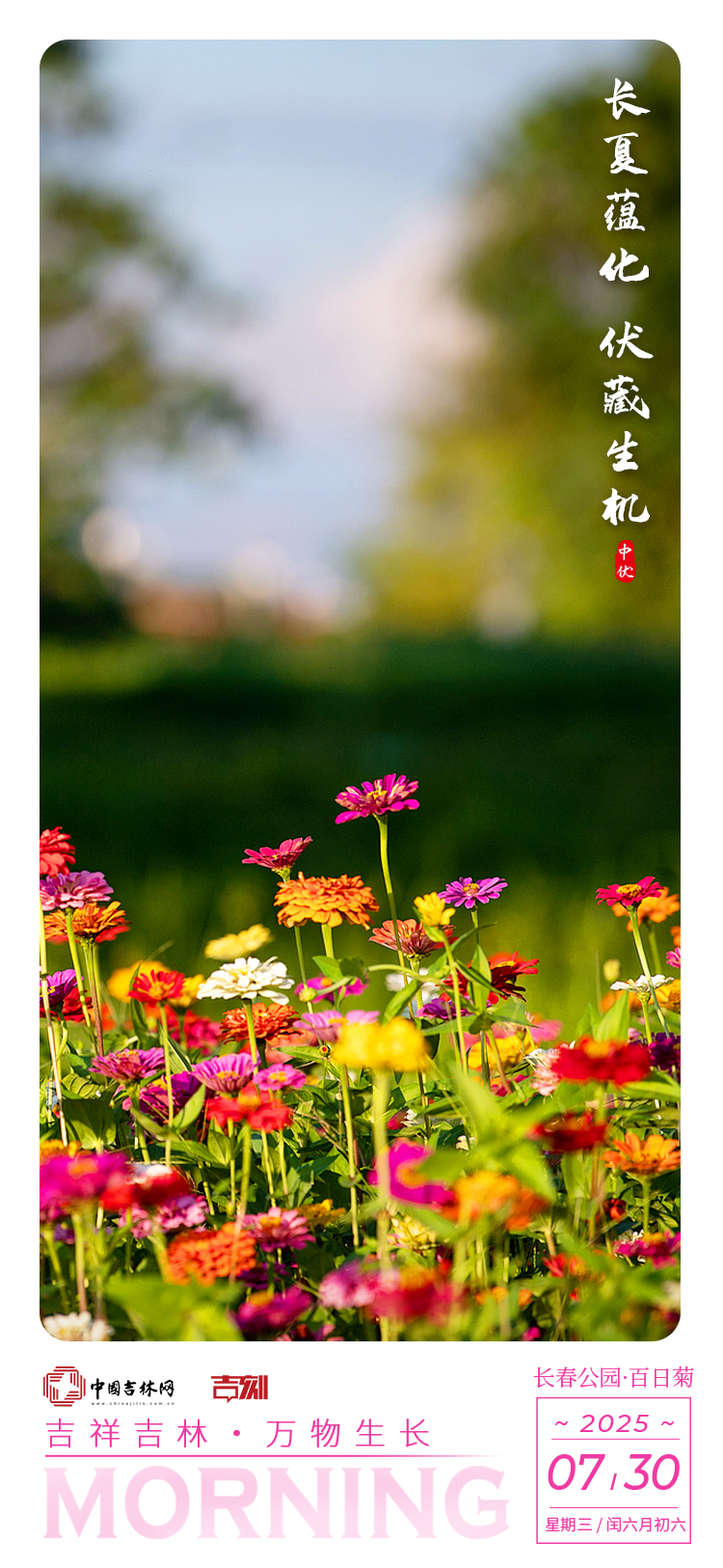 微信图片_20250730001013_7.jpg