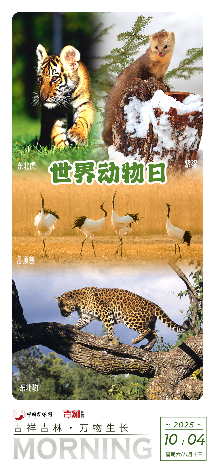 微信图片_20251003235421_43_207.jpg