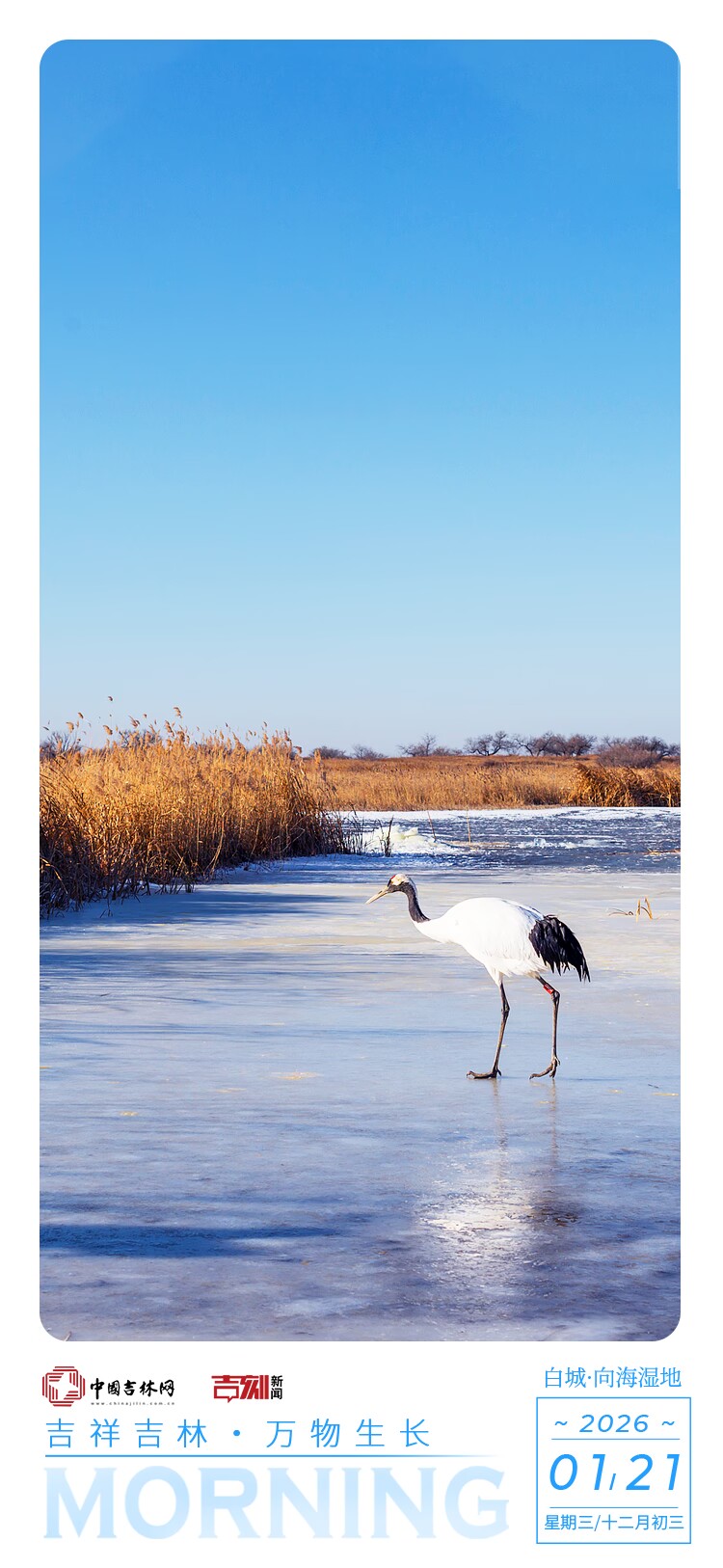 微信图片_20260120233716_73_81.jpg 微信图片_20260120233716_73_81.jpg