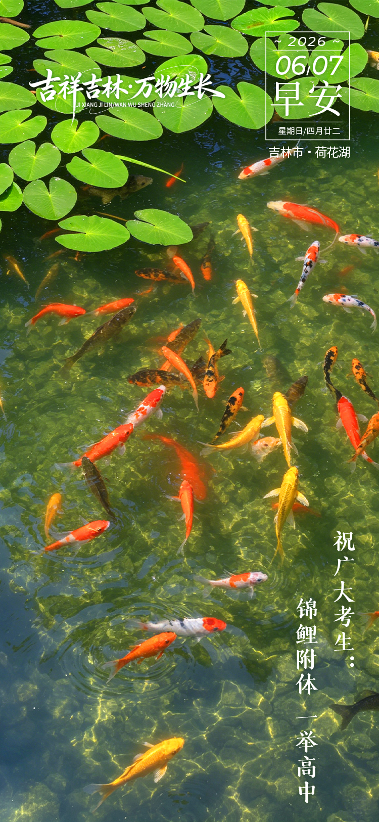 微信图片_20260606224659_173_81.jpg