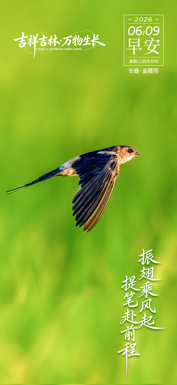微信图片_20260608231206_255_197.jpg